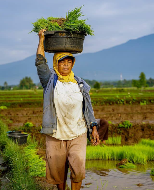 Kapankah Petani Bisa Naik Kelas ?!