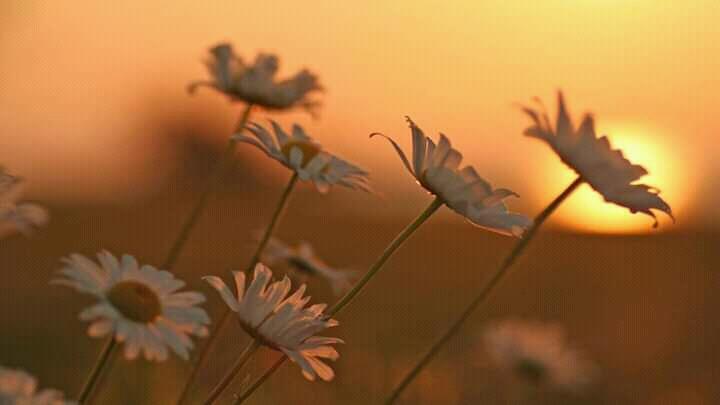 Love Hope And Pray