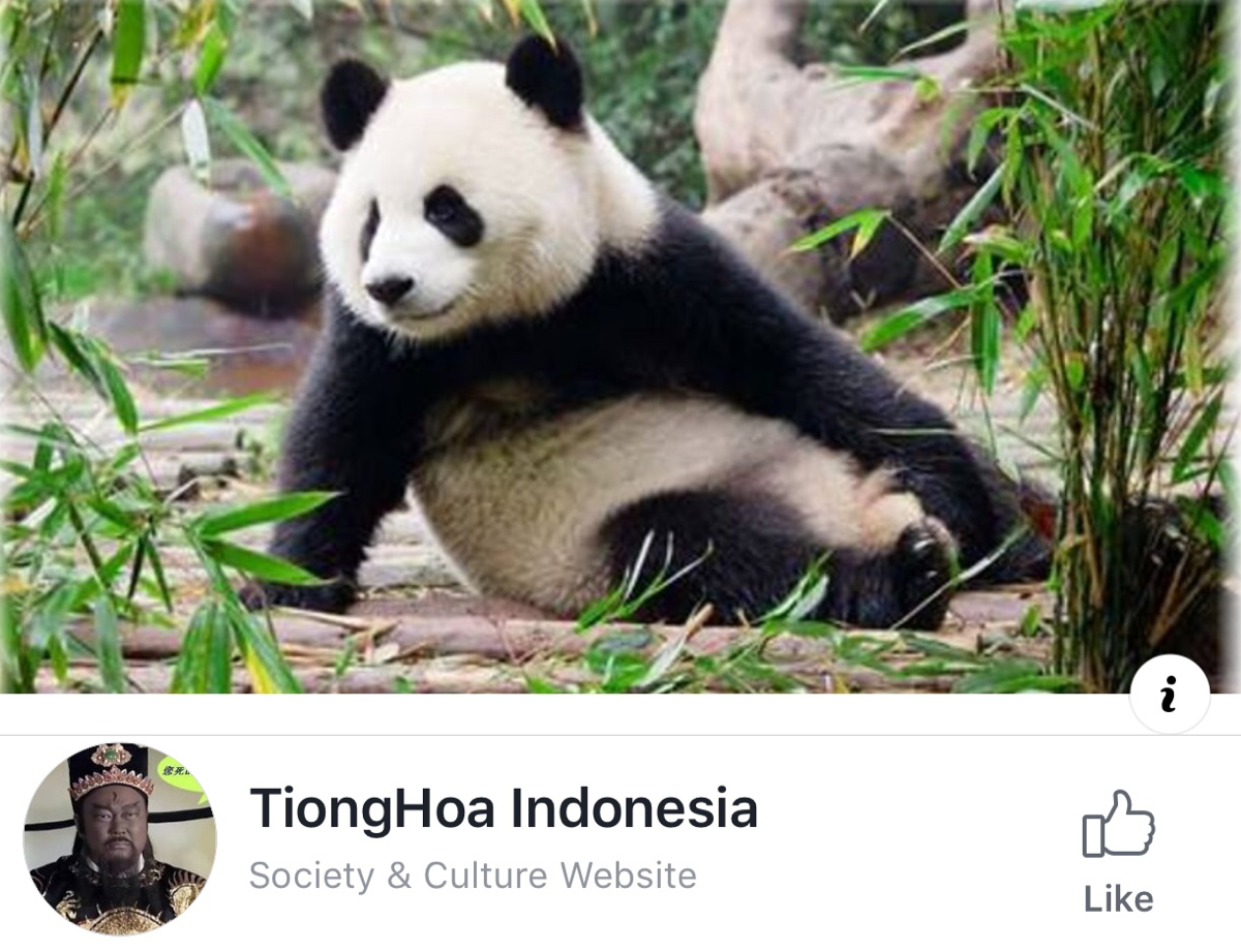 Berprestasi tapi terasing di Indonesia (rasis ngak usah lihat)