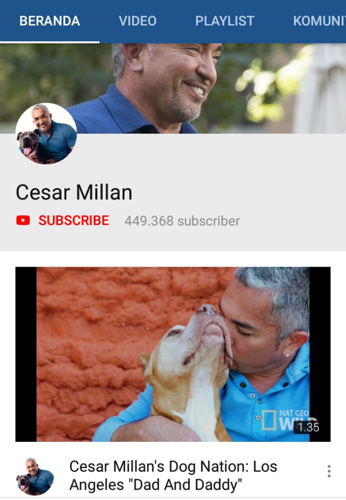 3 Channel YouTube Pelatih Anjing Favorit Ane