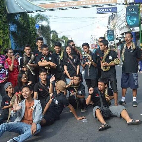 Komunitas Pecinta Binatang Yang Kutemui Saat Weekend di Simpang Lima Gumul Kediri