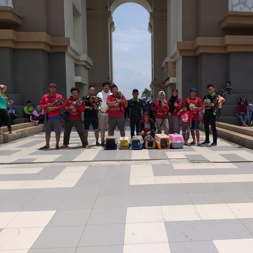 Komunitas Pecinta Binatang Yang Kutemui Saat Weekend di Simpang Lima Gumul Kediri