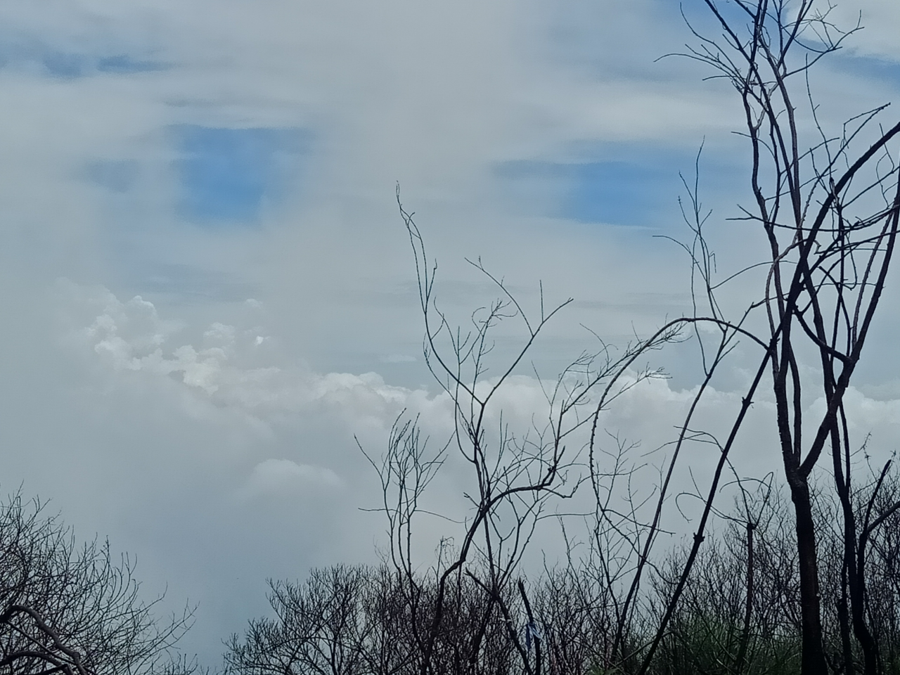 Jelajah Candi Di Gunung Penanggungan Part II