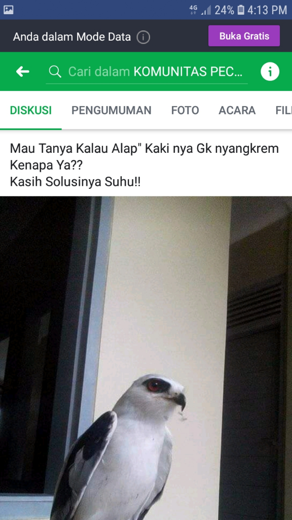 Apresiasikan dirimu dalam Komunitas-komunitas berikut ini! 