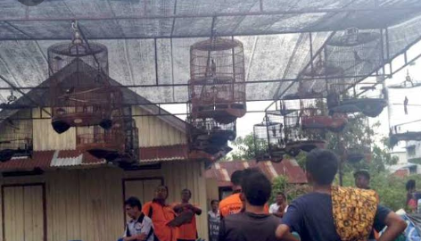 Komunitas dengan Pengaruh Positif Pelepas Penat dan Tempat Tersalurnya Hobi