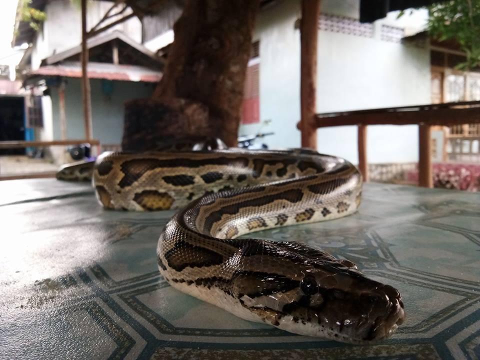 Komunitas mengajarkan kita arti KEBERSAMAAN