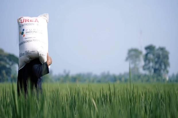 Jumlah Terbatas, Kementan Minta Petani Manfaatkan Pupuk Subsidi Sebaik Mungkin