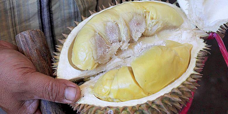 Pembenci Durian VS Penyuka Durian, Kubu Yang Manakah Kamu ???