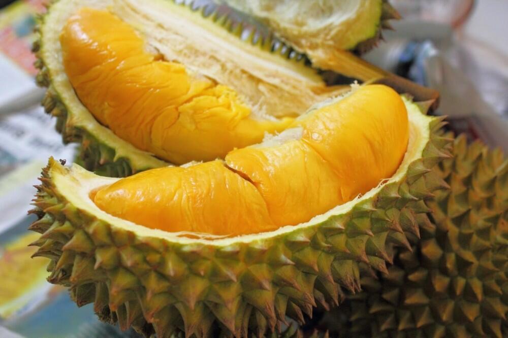 Pembenci Durian VS Penyuka Durian, Kubu Yang Manakah Kamu ???