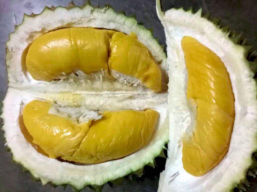 Pembenci Durian VS Penyuka Durian, Kubu Yang Manakah Kamu ???