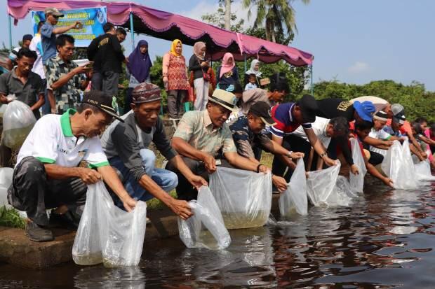 Dinas Perikanan Muba Tebar Bibit Ikan Jelawat dan Nilem di Danau Ulak Lia