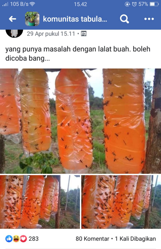 3 Komunitas Favorite Ane Yang Inspiratif Banget, Gabung Yuk Gan..