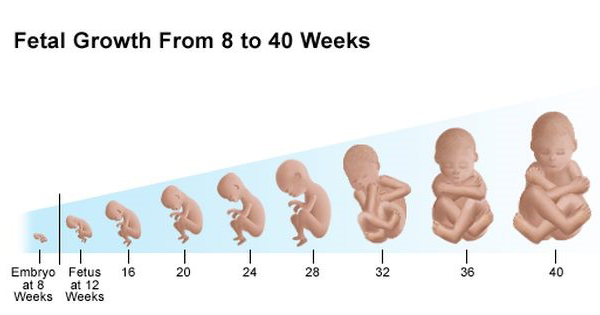 Sista Ingin Berpuasa Tapi Sedang Hamil? Bisa Kok, Tapi Perhatikan Hal Berikut Ya!
