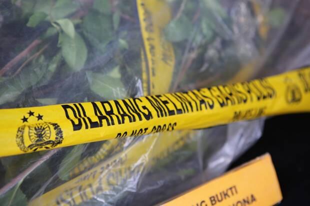 Tangkap 4 Pengedar di Depok, BNN Sita 350 Kg Ganja