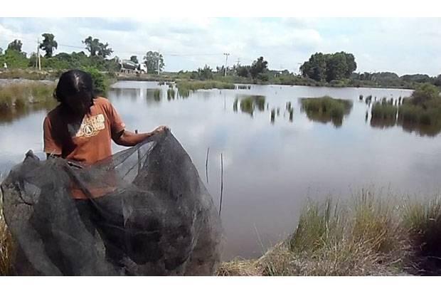 Ratusan Tambak Petani di Sekitar Kawasan PT VDNI Terancam Hilang