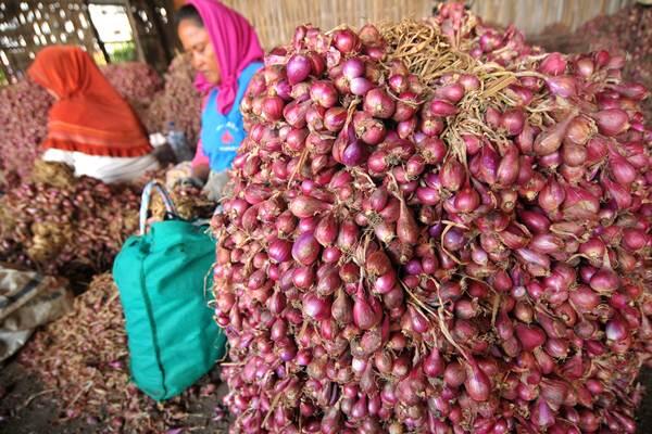 Salah Kaprah Impor Bawang #GantiMentan