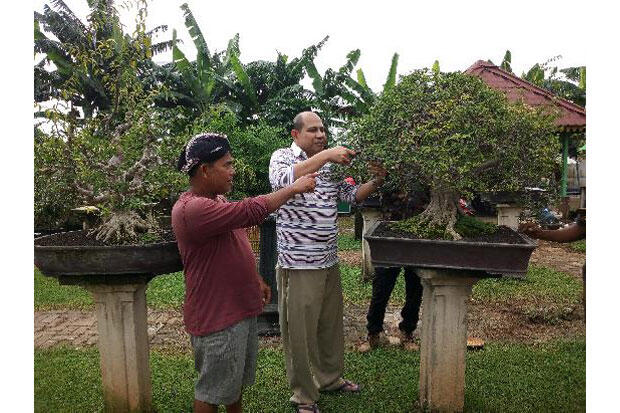 Taman Bonsai Jadi Oase di Jantung Kota Depok
