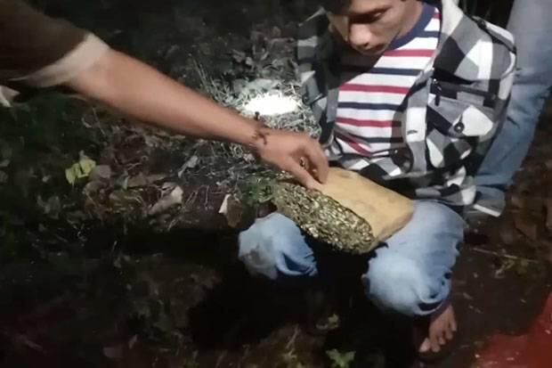 Asyik Pesta Ganja Menjelang Sahur, 3 Pria Diringkus Polisi