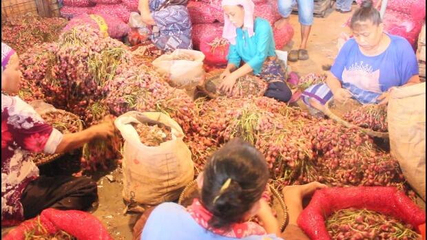 Pertumbuhan PDB Pertanian RI 2018 Melebihi Target