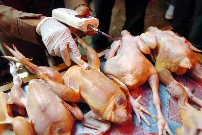 Cara Mengetahui Daging Ayam Yang Sudah Tak Layak Konsumsi