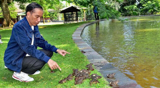 Tanda Tanya Besar Kenapa Jokowi Belum Respons Kematian Massal Petugas Pemilu 