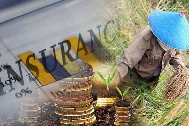 Curah Hujan Tinggi, Kementan Minta Petani Asuransikan Sawahnya