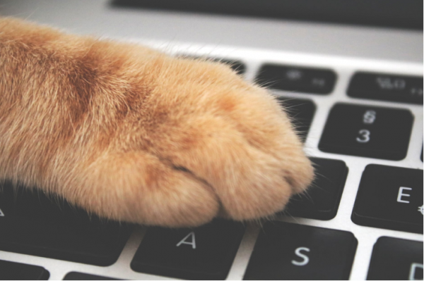 7 Tips Simpel Memilih Laptop Bagi Kamu yang Hobi Menulis