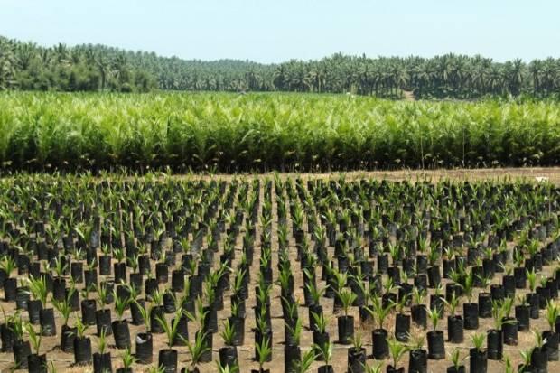 Sukseskan Program Serasi, Kementan Membentuk Tim Evaluasi