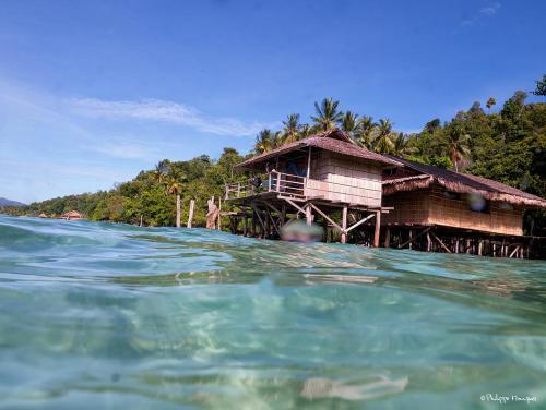 Inilah Hal Hal yang dapat Kamu Lakuin Jika berlibur ke Raja Ampat