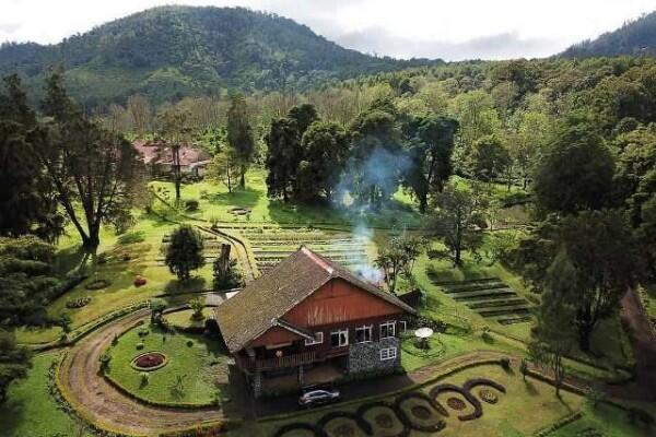 5 Penginapan Ini Berada di Tengah Kebun Kopi, Sejuk dan Asri!