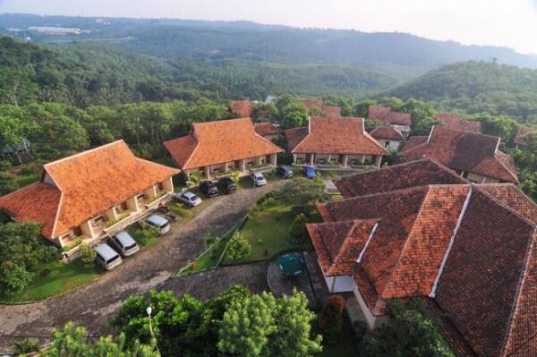 5 Penginapan Ini Berada di Tengah Kebun Kopi, Sejuk dan Asri!