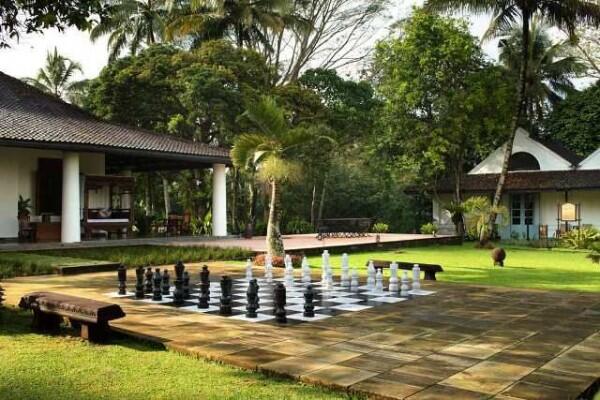 5 Penginapan Ini Berada di Tengah Kebun Kopi, Sejuk dan Asri!
