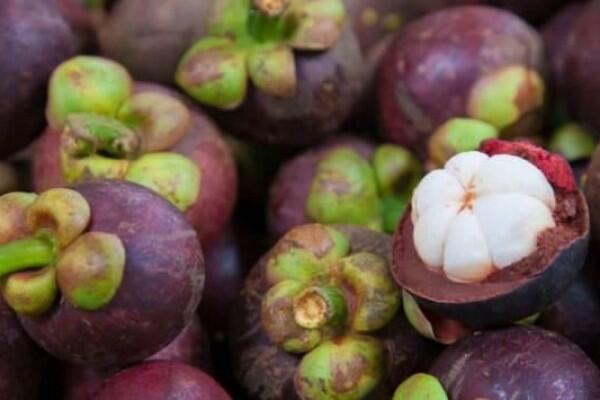 4 Bahan Alami Atasi Radang Amandel, Gak Perlu Operasi!