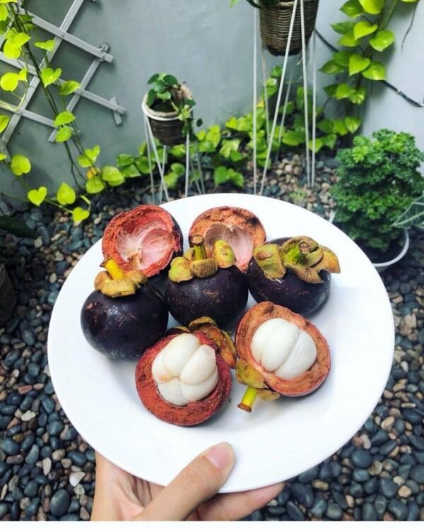 4 Bahan Alami Atasi Radang Amandel, Gak Perlu Operasi!