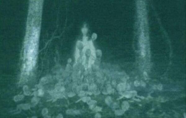 Takut Lihat 14 Foto Ini? Bisa Jadi Kamu Seorang Hylophobia
