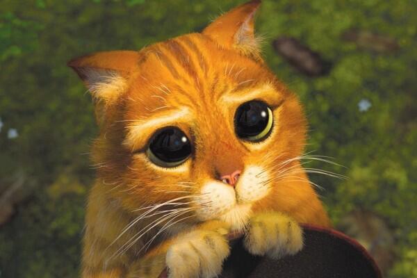 5 Film Animasi Bertema Kucing Ini Wajib Kamu Tonton