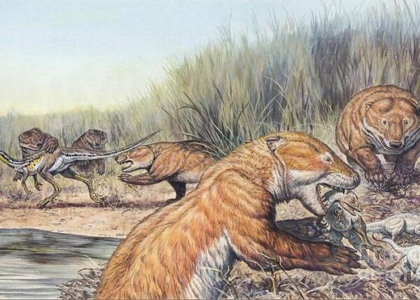 8 Mitos Dinosaurus Ini Ternyata Tidak Benar, Tak Sesuai Kisah Populer!