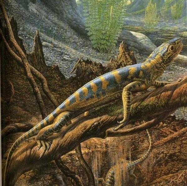 8 Mitos Dinosaurus Ini Ternyata Tidak Benar, Tak Sesuai Kisah Populer!