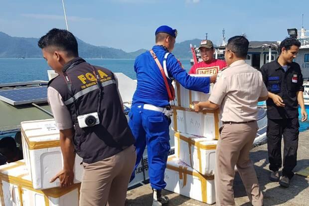 KKP Bersama Polairud Gagalkan Penyelundupan Lobster Senilai Rp30,8 Miliar