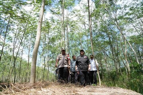 Mutualisme Perhutanan Sosial dan Industri
