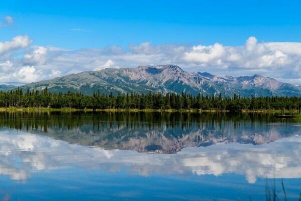 Tabrakan Pesawat di Langit Alaska, 5 Orang Meninggal Dunia