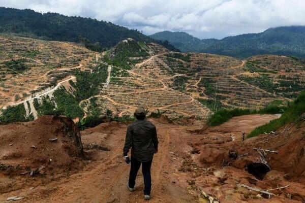 Ngeri, Ini 7 Hal yang Perlu Kamu Tahu tentang Perubahan Iklim Global!