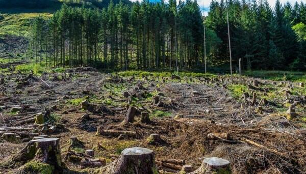 Ngeri, Ini 7 Hal yang Perlu Kamu Tahu tentang Perubahan Iklim Global!