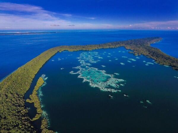 5 Alasan Kamu Harus ke Danau Kakaban, Surganya Ubur-ubur Jinak