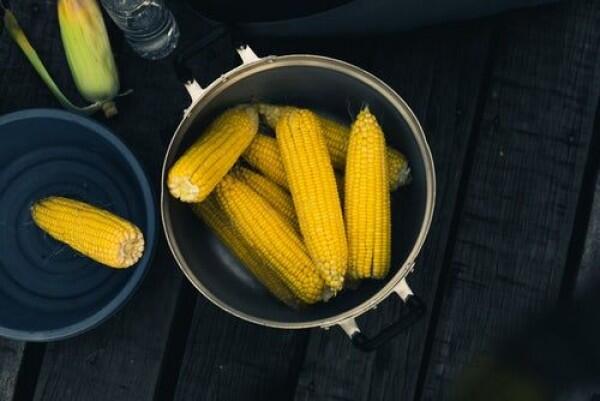 Ini Resep Puding Jagung Manis, Cocok Buat Buka Puasa
