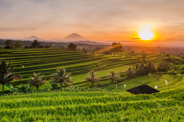 7 Destinasi Liburan yang Selalu Masuk ke Antrian Trip List Millennial