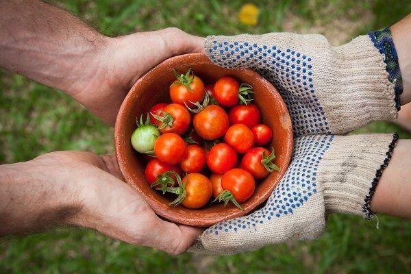 5 Makanan yang Kaya Akan Air, Baik Dikonsumsi Selama Puasa