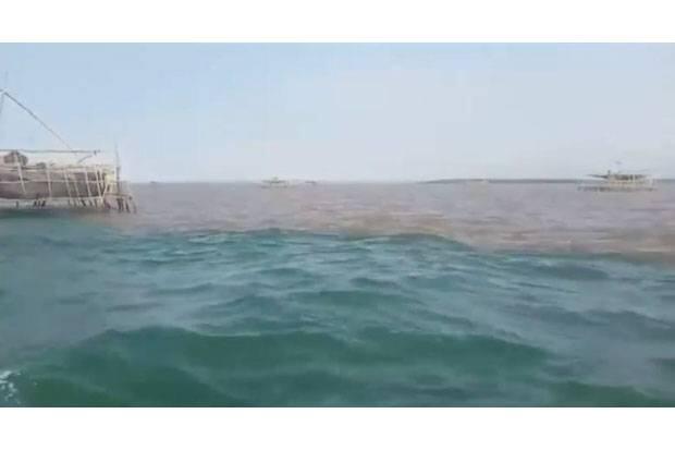 Fenomena Alam Dua Warna Air Laut Terjadi di Perairan Pasuruan
