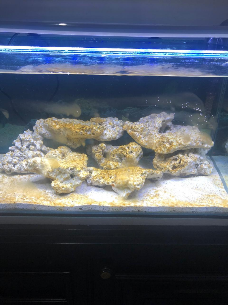 POST Aquarium Laut anda disini ....