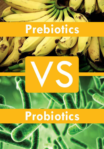 &#91;PREBIOTIC vs PROBIOTIC&#93; Apa Perbedaannya dan Mengapa Penting Buat Kita?